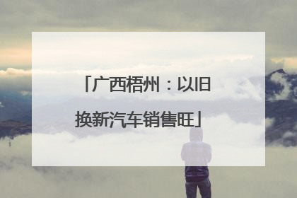 广西梧州：以旧换新汽车销售旺
