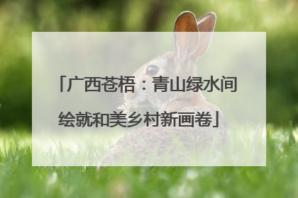 广西苍梧：青山绿水间绘就和美乡村新画卷
