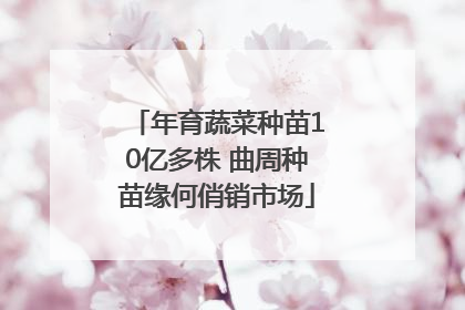 年育蔬菜种苗10亿多株 曲周种苗缘何俏销市场