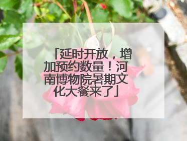 延时开放，增加预约数量！河南博物院暑期文化大餐来了