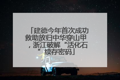 建德今年首次成功救助放归中华穿山甲，浙江破解“活化石”续存密码