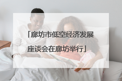 廊坊市低空经济发展座谈会在廊坊举行