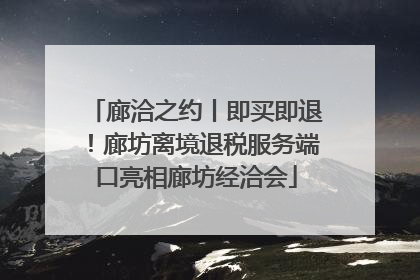 廊洽之约丨即买即退！廊坊离境退税服务端口亮相廊坊经洽会