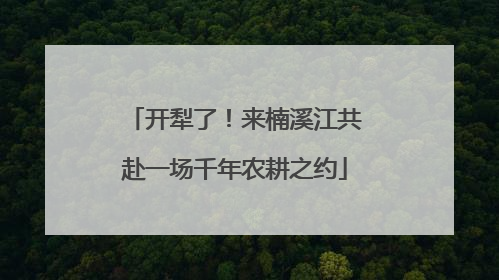 开犁了！来楠溪江共赴一场千年农耕之约