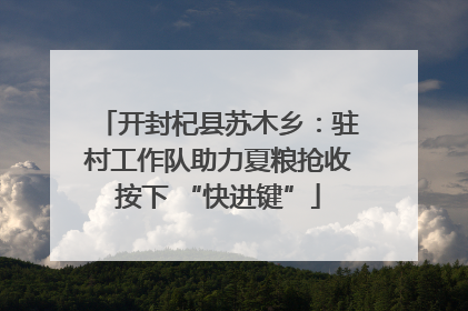 开封杞县苏木乡：驻村工作队助力夏粮抢收按下 “快进键”