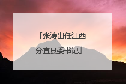 张涛出任江西分宜县委书记