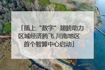 插上“数字”翅膀助力区域经济腾飞 川南地区首个智算中心启动