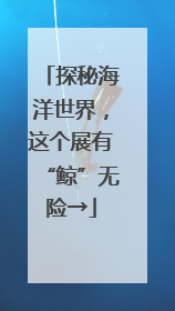 探秘海洋世界，这个展有“鲸”无险→