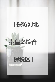 探访河北秦皇岛综合保税区
