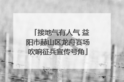接地气有人气 益阳市赫山区龙舟赛场吹响征兵宣传号角