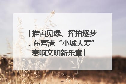 推窗见绿、挥拍逐梦，东营港“小城大爱”奏响文明新乐章