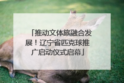 推动文体旅融合发展！辽宁省匹克球推广启动仪式启幕