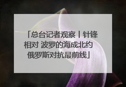 总台记者观察丨针锋相对 波罗的海成北约俄罗斯对抗最前线