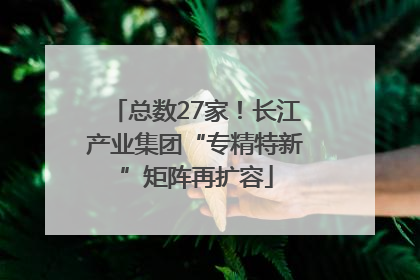 总数27家！长江产业集团“专精特新”矩阵再扩容