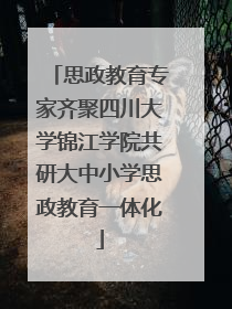 思政教育专家齐聚四川大学锦江学院共研大中小学思政教育一体化