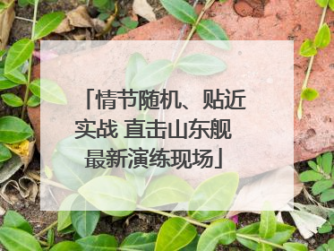 情节随机、贴近实战 直击山东舰最新演练现场