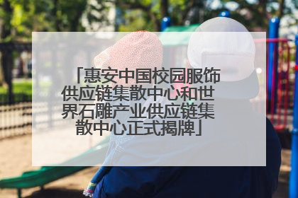 惠安中国校园服饰供应链集散中心和世界石雕产业供应链集散中心正式揭牌