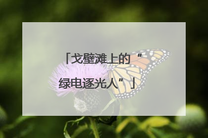戈壁滩上的“绿电逐光人”