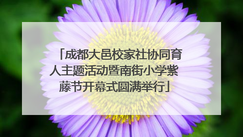 成都大邑校家社协同育人主题活动暨南街小学紫藤节开幕式圆满举行