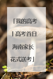 我的高考丨高考首日 海南家长花式送考