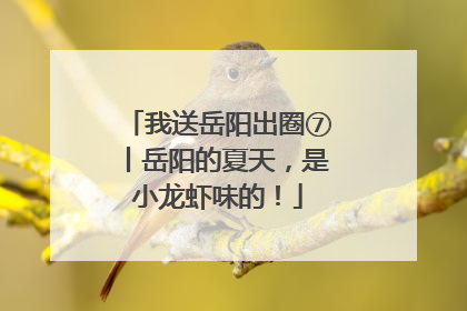 我送岳阳出圈⑦丨岳阳的夏天，是小龙虾味的！