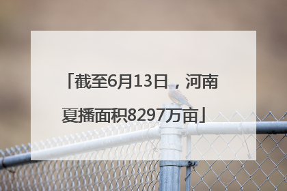 截至6月13日，河南夏播面积8297万亩