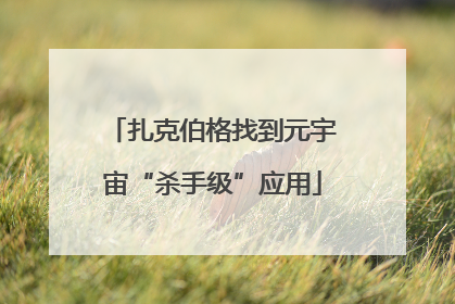 扎克伯格找到元宇宙“杀手级”应用