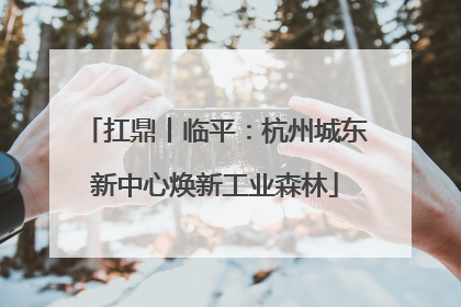扛鼎丨临平：杭州城东新中心焕新工业森林