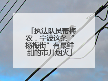 执法队员帮梅农，宁波这条“杨梅街”有最鲜甜的市井烟火