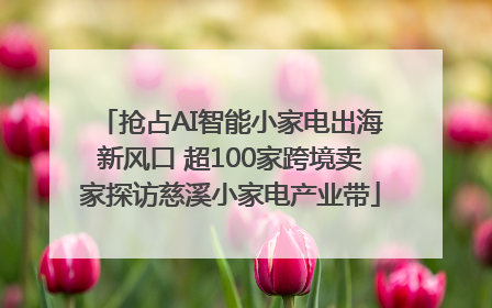 抢占AI智能小家电出海新风口 超100家跨境卖家探访慈溪小家电产业带