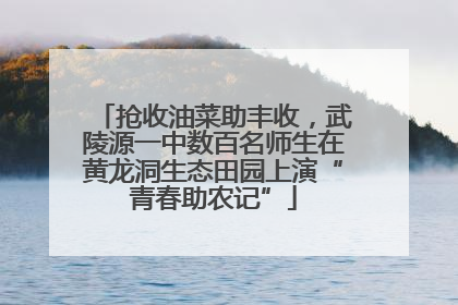 抢收油菜助丰收，武陵源一中数百名师生在黄龙洞生态田园上演“青春助农记”