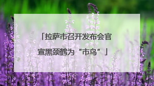拉萨市召开发布会官宣黑颈鹤为“市鸟”