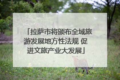 拉萨市将颁布全域旅游发展地方性法规 促进文旅产业大发展