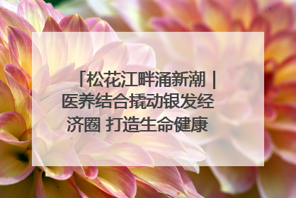 松花江畔涌新潮｜医养结合撬动银发经济圈 打造生命健康产业新样本