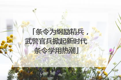 条令为纲励精兵，武警官兵掀起新时代条令学用热潮