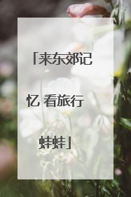 来东郊记忆 看旅行蛙蛙