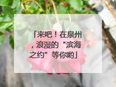来吧！在泉州，浪漫的“滨海之约”等你哟