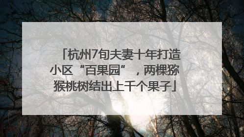 杭州7旬夫妻十年打造小区“百果园”，两棵猕猴桃树结出上千个果子