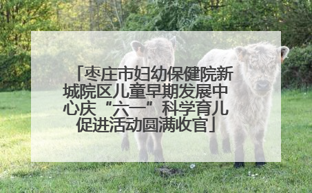 枣庄市妇幼保健院新城院区儿童早期发展中心庆“六一”科学育儿促进活动圆满收官