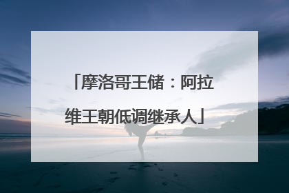 摩洛哥王储：阿拉维王朝低调继承人