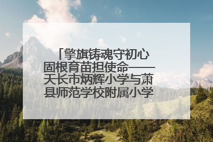 擎旗铸魂守初心 固根育苗担使命——天长市炳辉小学与萧县师范学校附属小学结对共建活动纪实