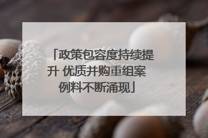 政策包容度持续提升 优质并购重组案例料不断涌现