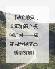 政企联动，共筑知识产权保护网——赋能民营经济高质量发展
