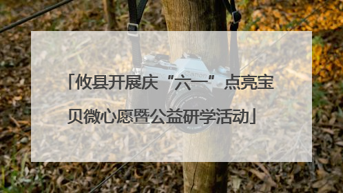 攸县开展庆“六一”点亮宝贝微心愿暨公益研学活动