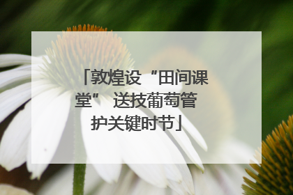 敦煌设“田间课堂” 送技葡萄管护关键时节