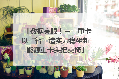 数据亮眼！三一重卡以“智”造实力稳坐新能源重卡头把交椅