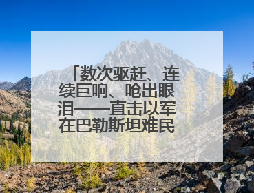 数次驱赶、连续巨响、呛出眼泪——直击以军在巴勒斯坦难民营的行动