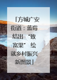 方城广安街道：蓝莓结出 “致富果” 绘就乡村振兴新图景