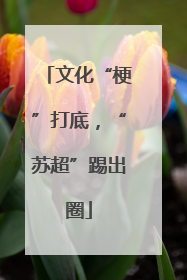 文化“梗”打底，“苏超”踢出圈