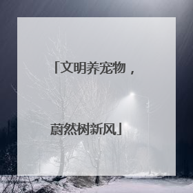 文明养宠物,蔚然树新风
